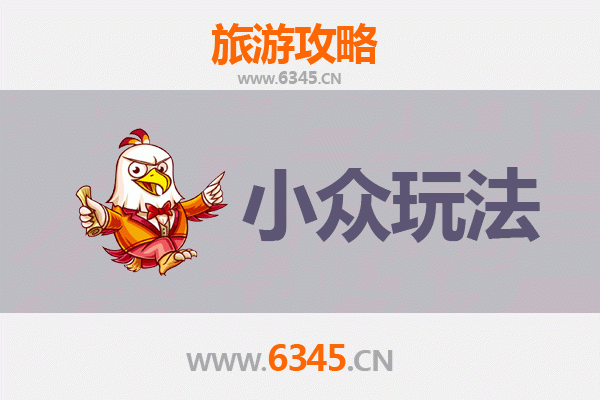 菏泽牡丹秘境探幽：避开人潮的小众赏花与深度体验指南