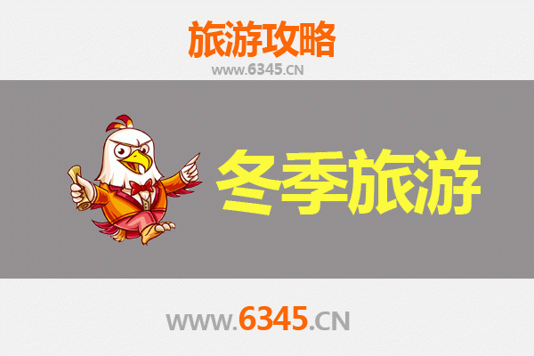菏泽牡丹冬季旅游攻略：暖棚赏花与文化体验之旅
